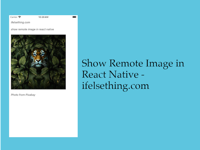 Show Remote URL Image in React Native